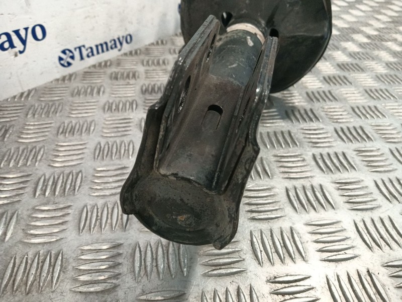 Recambio de amortiguador delantero derecho para toyota corolla verso (r1) referencia OEM IAM 48510  
