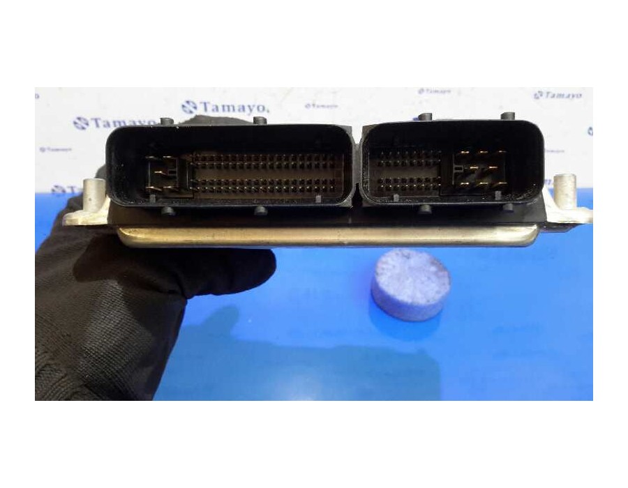 Recambio de centralita motor uce para seat ibiza (6l1) 1.9 tdi referencia OEM IAM 0281010891 EDC15P+ 038906019DQ