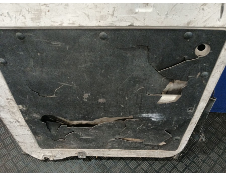 Recambio de puerta trasera carga izquierda para fiat ducato furgoneta (250_) 130 multijet 2,3 d 4x4 referencia OEM IAM   