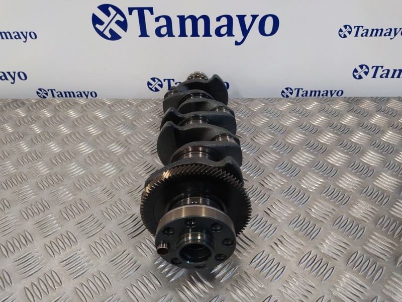 Recambio de cigueñal para bmw serie 1 berlina (e81/e87) 2.0 16v diesel referencia OEM IAM 7793901  