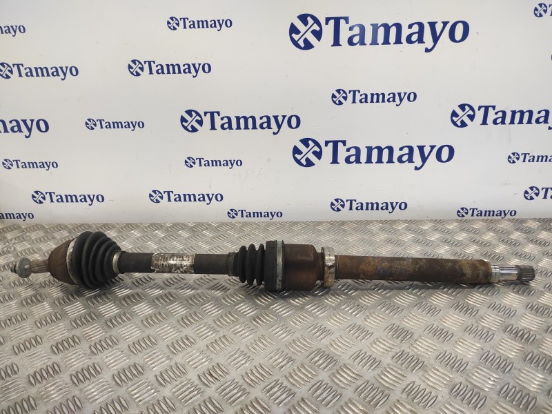 Recambio de transmision delantera derecha para ford focus berlina (cap) 1.6 tdci cat referencia OEM IAM 3M513B436BAF  