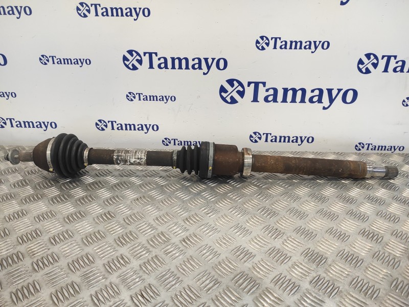 Recambio de transmision delantera derecha para ford focus berlina (cap) 1.6 tdci cat referencia OEM IAM 3M513B436BAF  