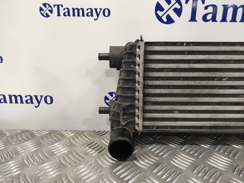 Recambio de intercooler para ford focus lim. (cb8) 1.6 tdci cat referencia OEM IAM BV619L440CG  