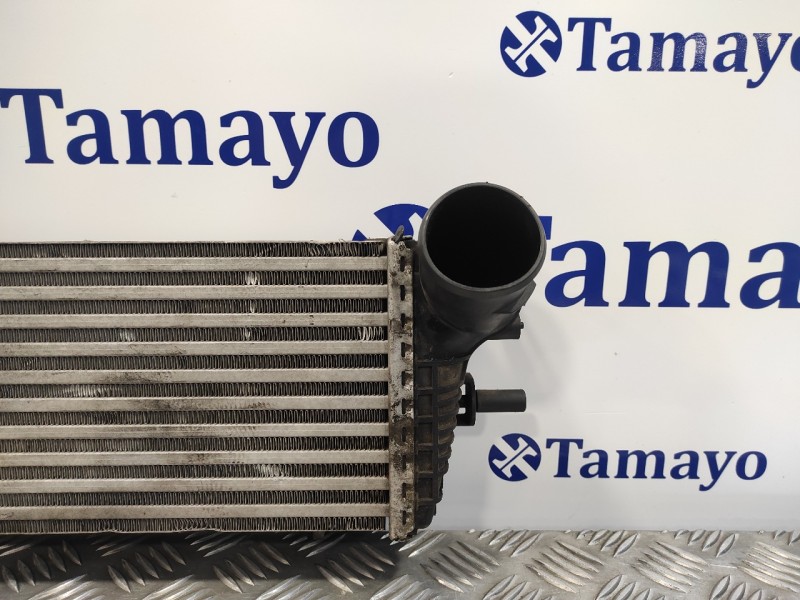 Recambio de intercooler para ford focus lim. (cb8) 1.6 tdci cat referencia OEM IAM BV619L440CG  