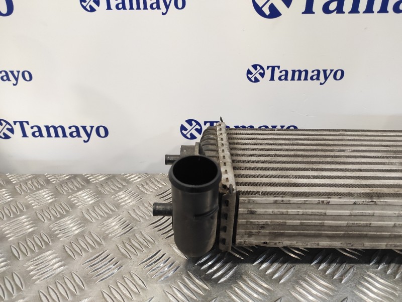 Recambio de intercooler para ford focus lim. (cb8) 1.6 tdci cat referencia OEM IAM BV619L440CG  