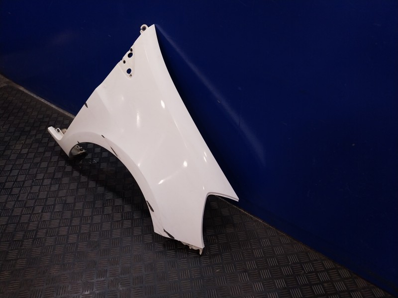 Recambio de aleta delantera derecha para renault clio iii referencia OEM IAM   