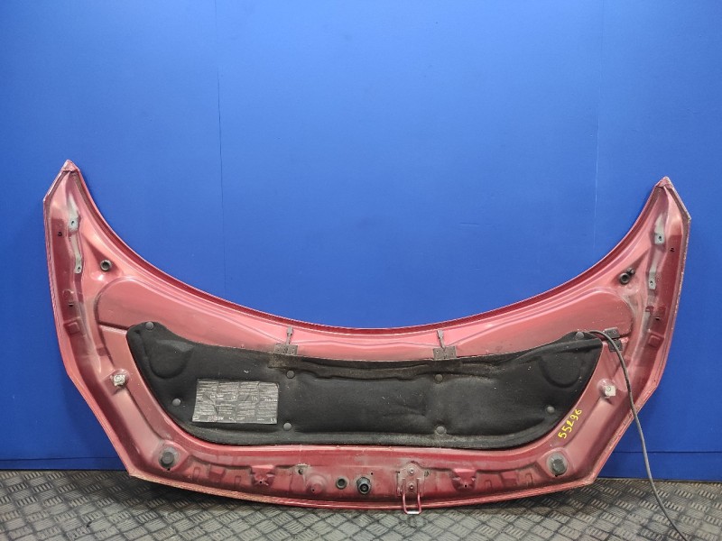 Recambio de capot para renault scenic ii grand scenic ii referencia OEM IAM   