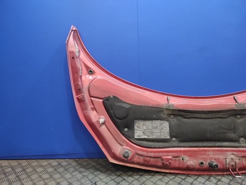 Recambio de capot para renault scenic ii grand scenic ii referencia OEM IAM   