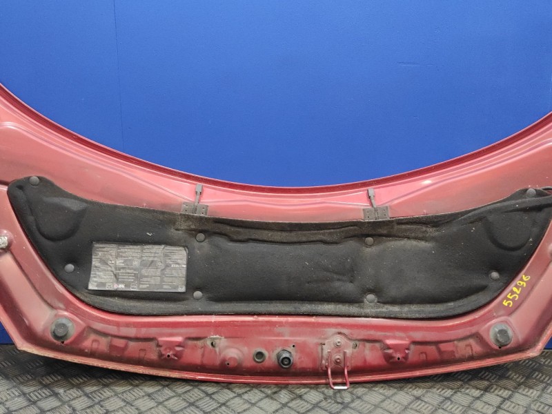 Recambio de capot para renault scenic ii grand scenic ii referencia OEM IAM   