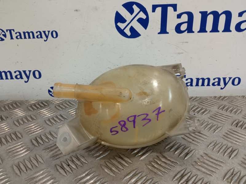 Recambio de deposito expansion para dacia sandero referencia OEM IAM 217107259R  