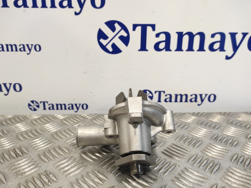 Recambio de bomba agua para peugeot 205 berlina 1.6 referencia OEM IAM  RN DOLZT-116