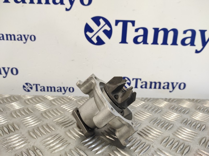 Recambio de bomba agua para peugeot 205 berlina 1.6 referencia OEM IAM  RN DOLZT-116