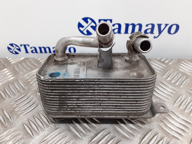 Recambio de enfriador aceite direccion para bmw serie 7 (e65/e66) 3.6 v8 32v cat referencia OEM IAM 75079740  