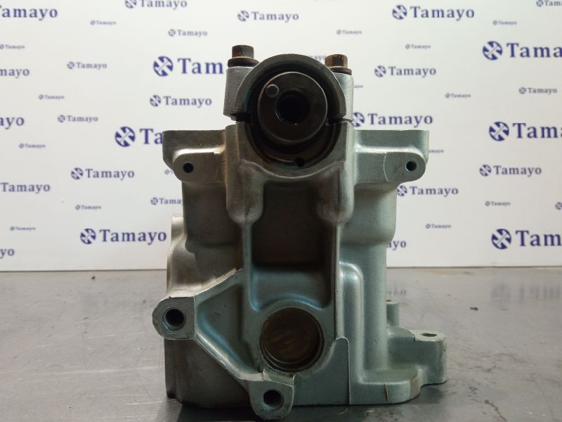 Recambio de culata para fiat croma (194) 1.9 8v jtd cat (939a1000 / 192a8000) referencia OEM IAM 7676005  