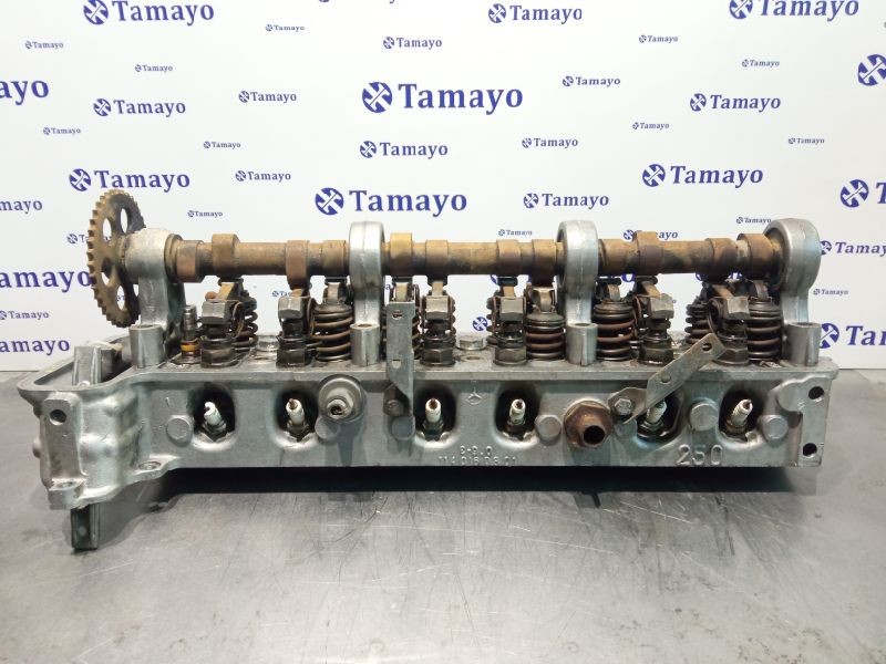 Recambio de culata para mercedes-benz clase e (w114/w115) berlina 2.8 referencia OEM IAM 1140160801  