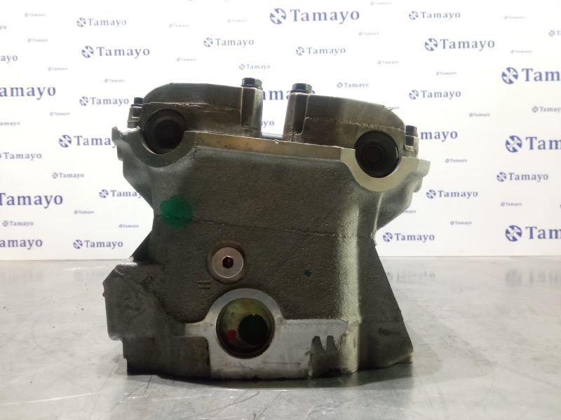 Recambio de culata para mercedes-benz clase s (w140) berlina 5.0 v8 32v cat referencia OEM IAM 1190167201  