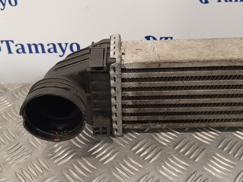 Recambio de intercooler para mercedes-benz clase a (w169) 2.0 cdi cat referencia OEM IAM A1695000000  