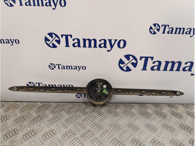 Recambio de rejilla delantera para fiat 500 (312) 500 referencia OEM IAM   