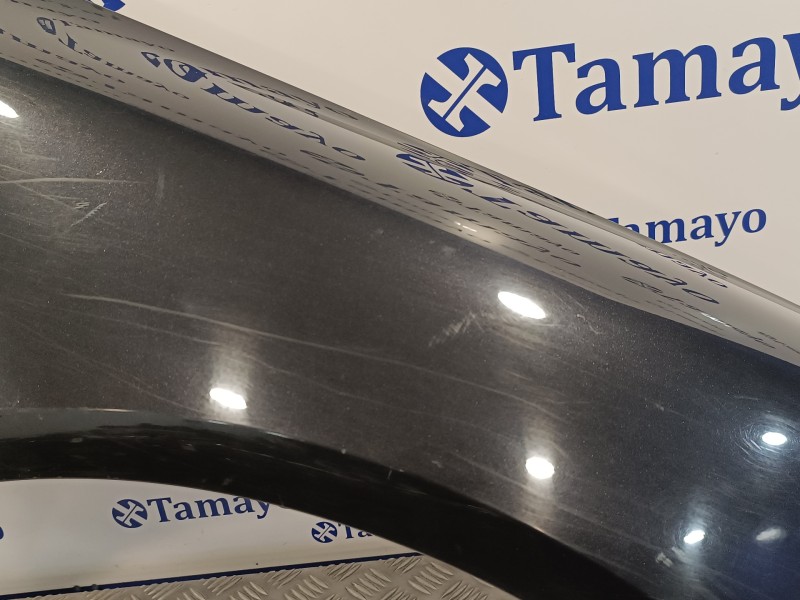 Recambio de aleta delantera derecha para volkswagen touareg (7la) 2.5 tdi referencia OEM IAM   