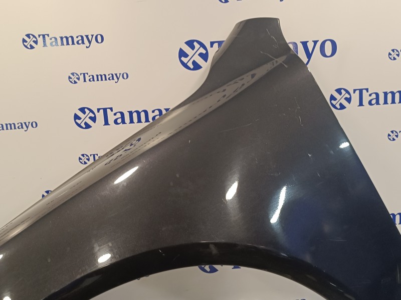 Recambio de aleta delantera izquierda para volkswagen touareg (7la) 2.5 tdi referencia OEM IAM   