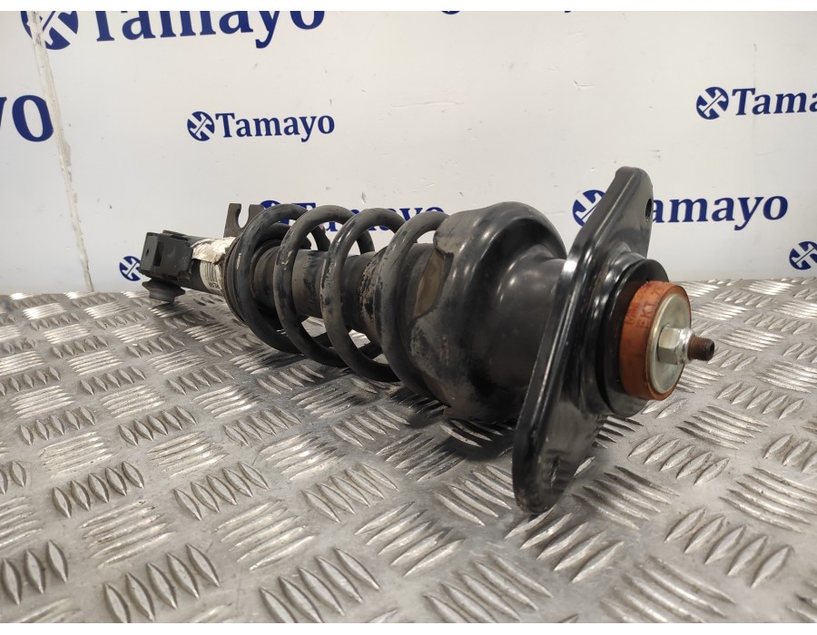 Recambio de amortiguador trasero izquierdo para mini mini (r56) 1.4 16v cat referencia OEM IAM 22236015  