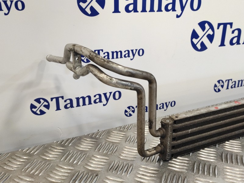 Recambio de radiador aceite para volkswagen touareg (7l6) 2.5 tdi dpf referencia OEM IAM 7L8422885A  H9191000