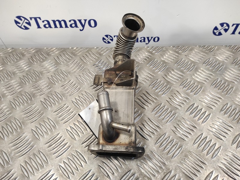 Recambio de enfriador egr para renault scenic ii 1.9 dci diesel referencia OEM IAM 8200463548  H7700107471