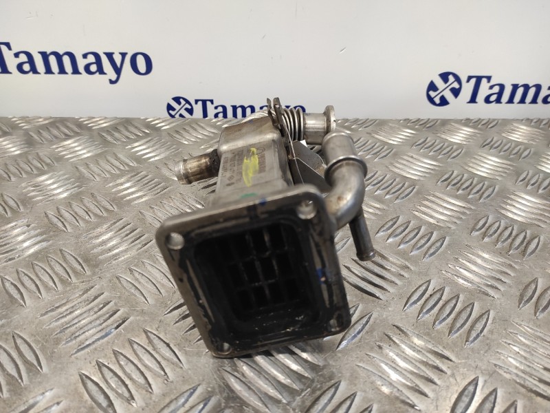 Recambio de enfriador egr para renault scenic ii 1.9 dci diesel referencia OEM IAM 8200463548  H7700107471
