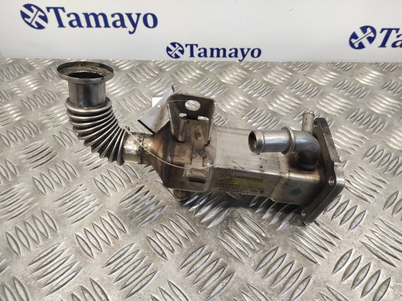 Recambio de enfriador egr para renault scenic ii 1.9 dci diesel referencia OEM IAM 8200463548  H7700107471