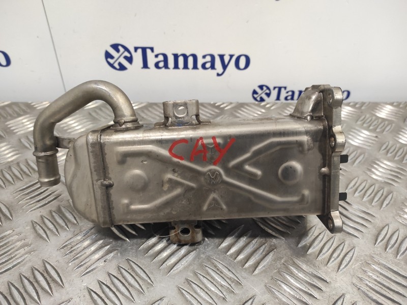 Recambio de enfriador egr para volkswagen golf vi variant (aj5) 1.6 tdi dpf referencia OEM IAM 03L131512DQ  