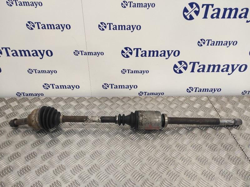 Recambio de transmision delantera derecha para renault trafic combi (ab 4.01) 1.9 diesel referencia OEM IAM   