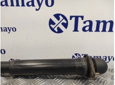 Recambio de amortiguador trasero derecho para bmw z3 roadster (e36) 1.9 16v cat referencia OEM IAM 33521092575  1039127220A 2