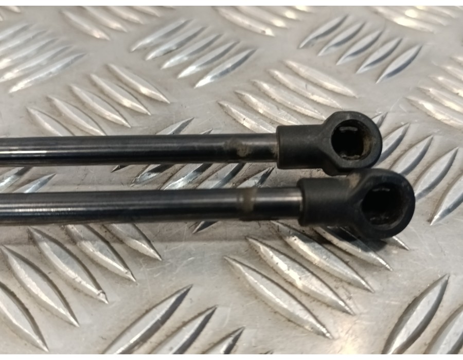 Recambio de amortiguadores maletero / porton para bmw serie 1 lim f21 ac referencia OEM IAM   8135620455N