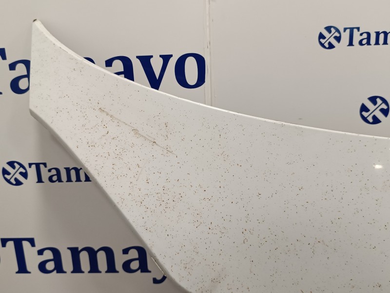 Recambio de capot para smart fortwo coupe 0.8 cdi referencia OEM IAM   