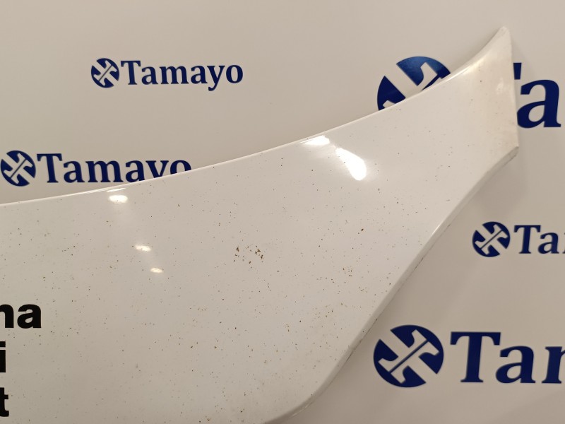 Recambio de capot para smart fortwo coupe 0.8 cdi referencia OEM IAM   