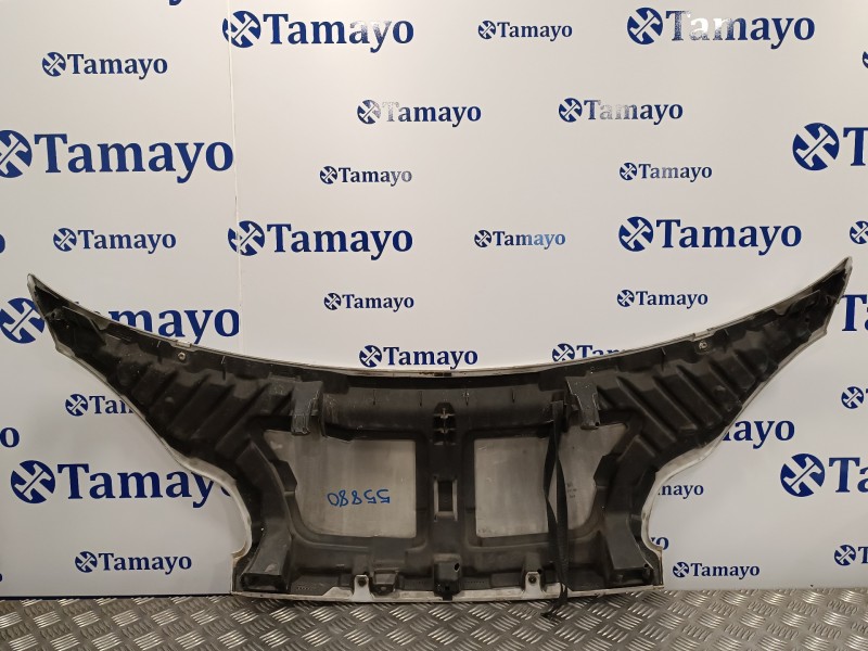 Recambio de capot para smart fortwo coupe 0.8 cdi referencia OEM IAM   