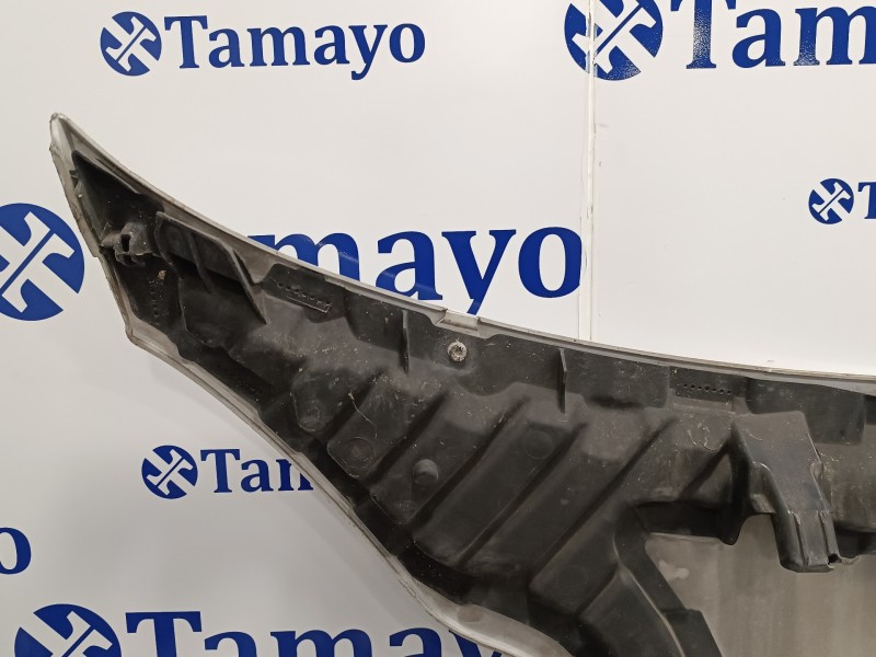 Recambio de capot para smart fortwo coupe 0.8 cdi referencia OEM IAM   