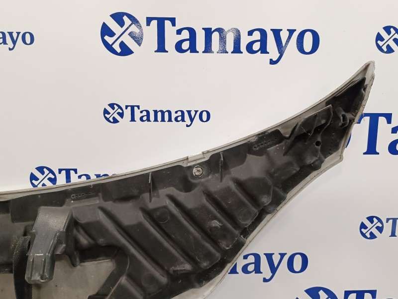 Recambio de capot para smart fortwo coupe 0.8 cdi referencia OEM IAM   