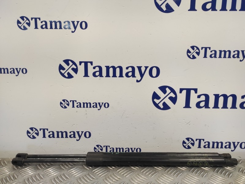 Recambio de amortiguadores maletero / porton para toyota rav4 referencia OEM IAM 689500R060A  