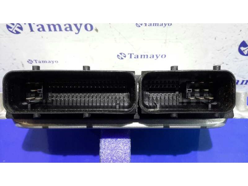 Recambio de centralita motor uce para seat ibiza (6l1) referencia OEM IAM 0281011244 EDC15P+ 045906019BG
