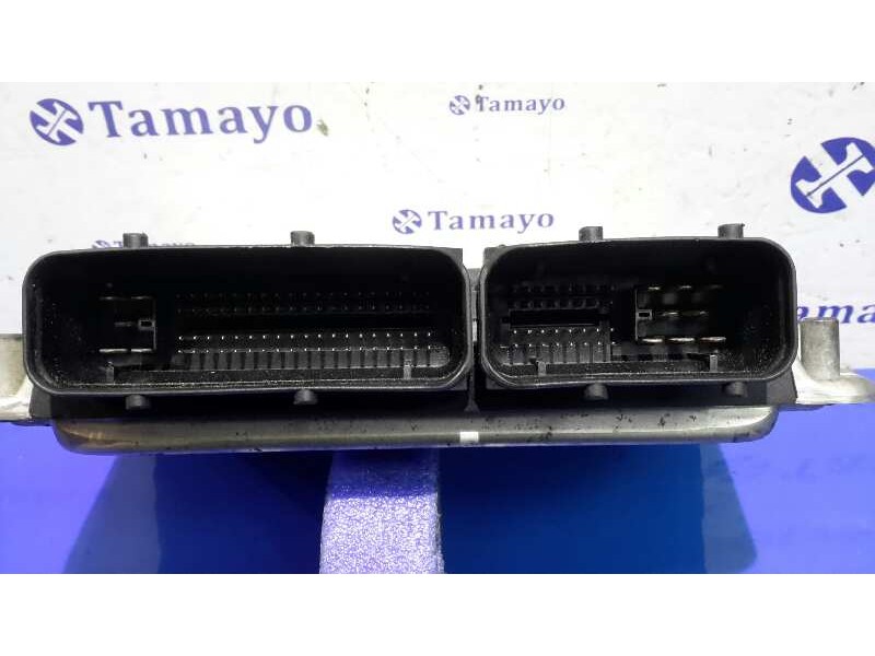 Recambio de centralita motor uce para seat ibiza (6l1) referencia OEM IAM 0281011244 EDC15P+ 045906019BG