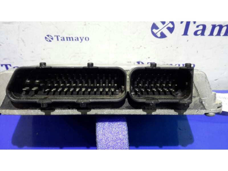 Recambio de centralita motor uce para volkswagen golf iv berlina (1j1) 1.6 referencia OEM IAM 5WP441704  06A906019AK