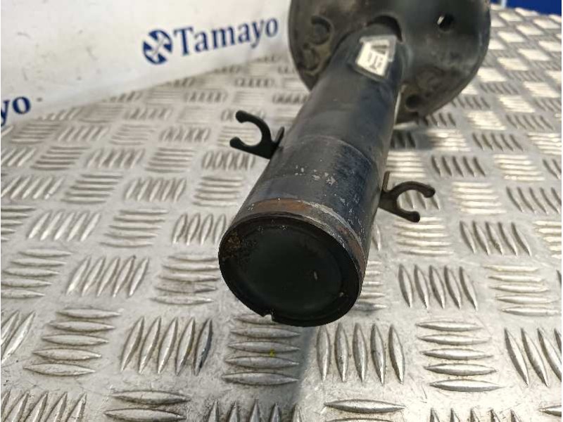 Recambio de amortiguador delantero derecho para audi rs 3 sedán (8vm) referencia OEM IAM 1J0413031CP  