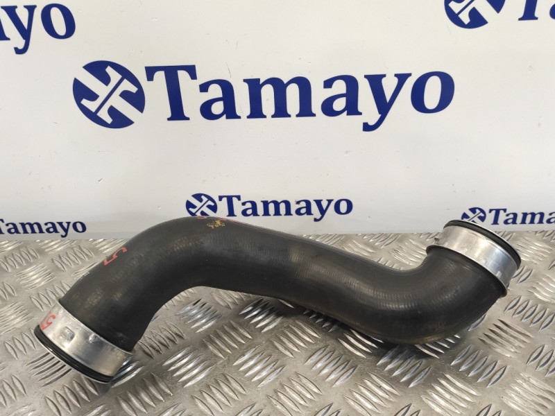 Recambio de tubo para mercedes-benz clase s (w220) berlina 3.2 cdi cat referencia OEM IAM A2205280782  ZGS00114004