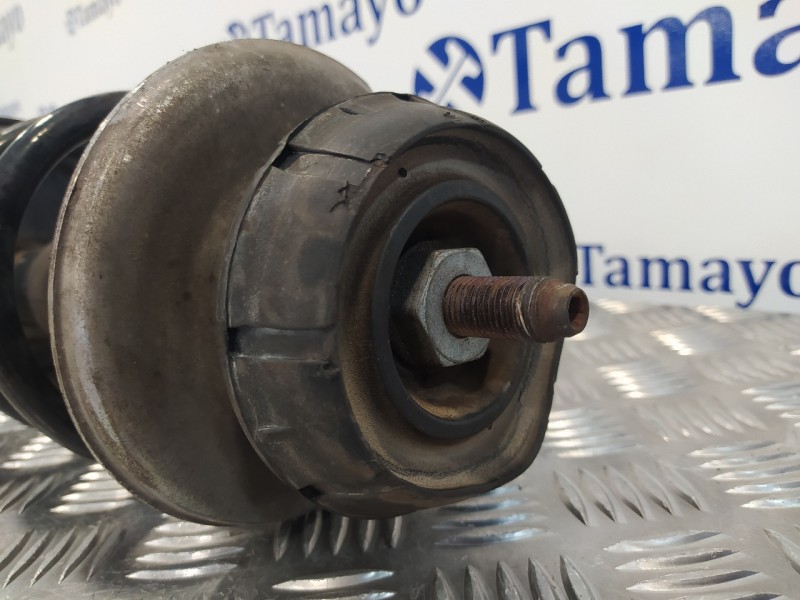 Recambio de amortiguador delantero izquierdo para dacia sandero básico referencia OEM IAM 8200807029A  