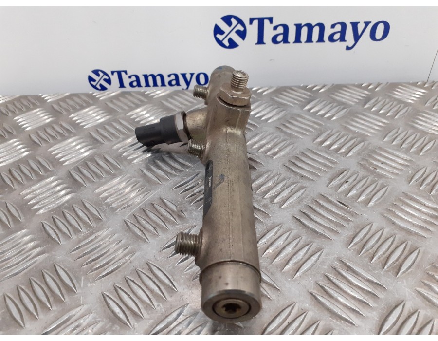 Recambio de rampa inyectora para audi a6 avant (4f5) 3.0 v6 24v tdi referencia OEM IAM 059130089D  