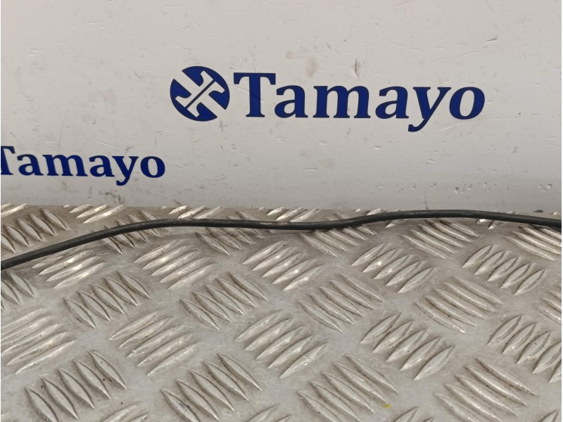 Recambio de sensor para ford transit kastenwagen (ttg) referencia OEM IAM BK3A12B591AB  