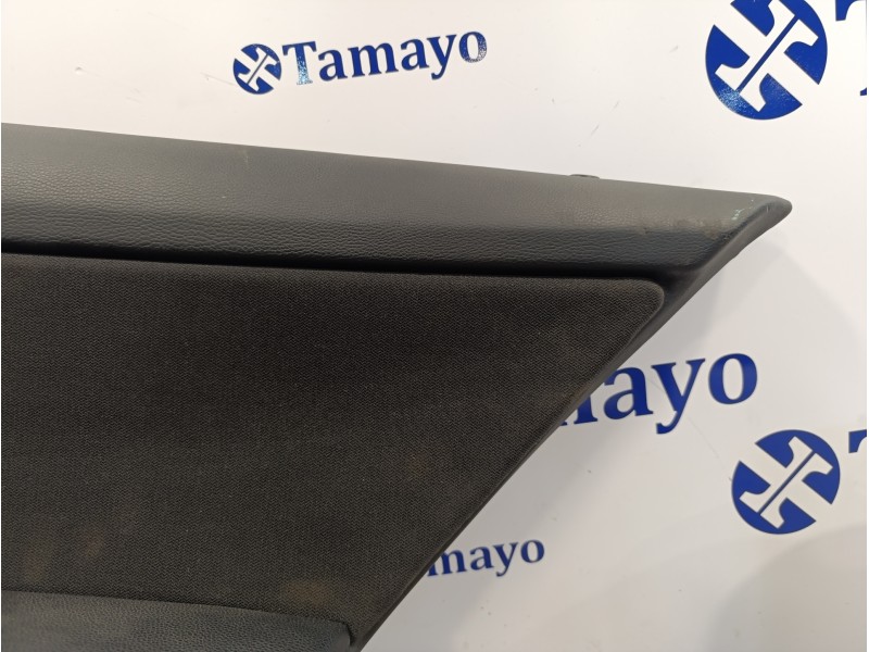 Recambio de guarnecido puerta trasera derecha para bmw serie 3 berlina (e90) 318d referencia OEM IAM 19000HT0000  