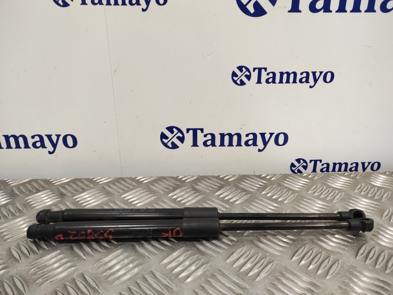 Recambio de amortiguadores capo para bmw x1 (e84) xdrive 23d referencia OEM IAM 51232990344  