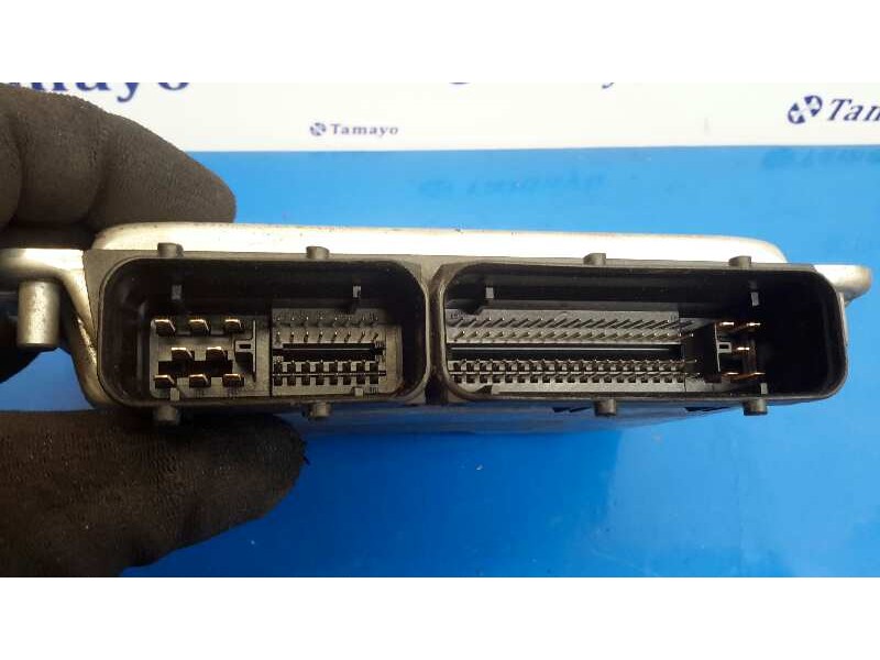 Recambio de centralita motor uce para volkswagen polo (9n1) 1.9 tdi referencia OEM IAM 0281011075 EDC15P+ 038906019JK